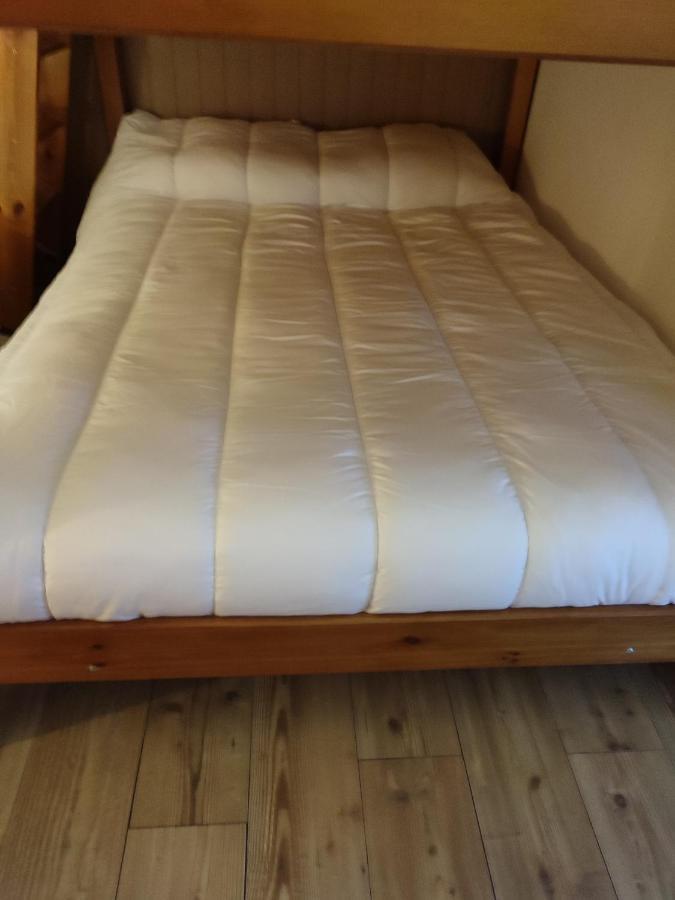 Le Cosy Aux Pieds Des Pistes Appartement Avec Balcon Plein Centre Orcières المظهر الخارجي الصورة